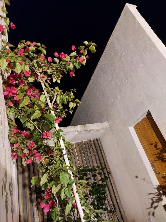 Statera Host Villa Alto Paraíso de Goiás Dış mekan fotoğraf